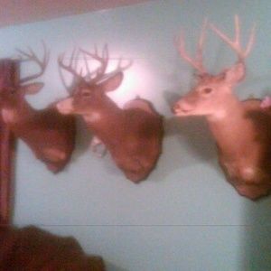 Meet your Posher, William